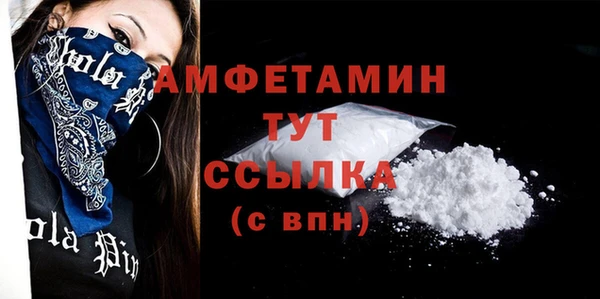 шишки Новодвинск