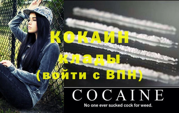 шишки Новодвинск