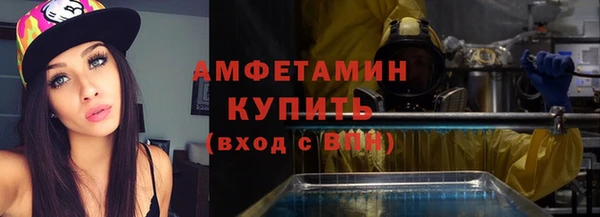 шишки Новодвинск