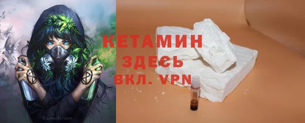 шишки Новодвинск