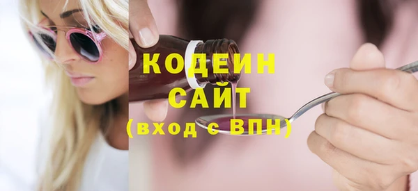 шишки Новодвинск