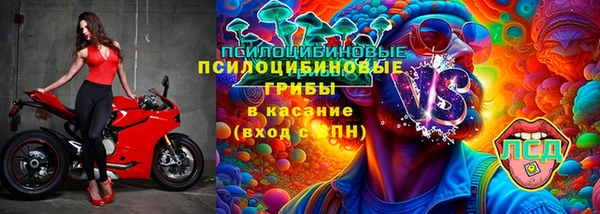 шишки Новодвинск