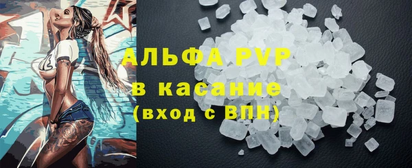 шишки Новодвинск