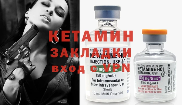 шишки Новодвинск