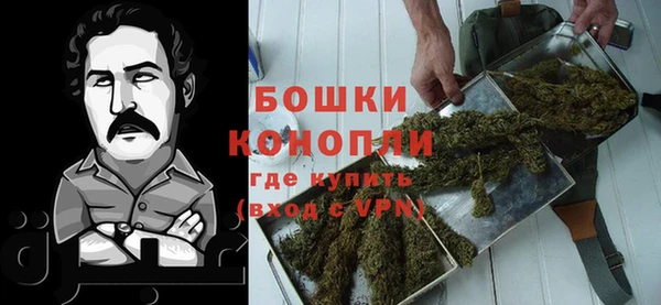 шишки Новодвинск