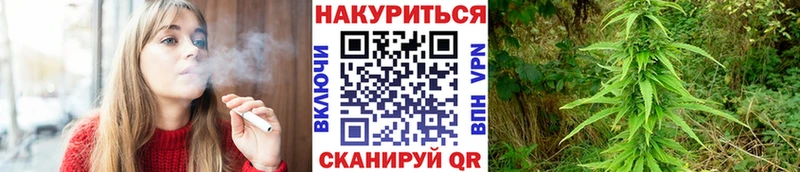 Купить закладки  Магнитогорск  Бошки марихуана гибрид 